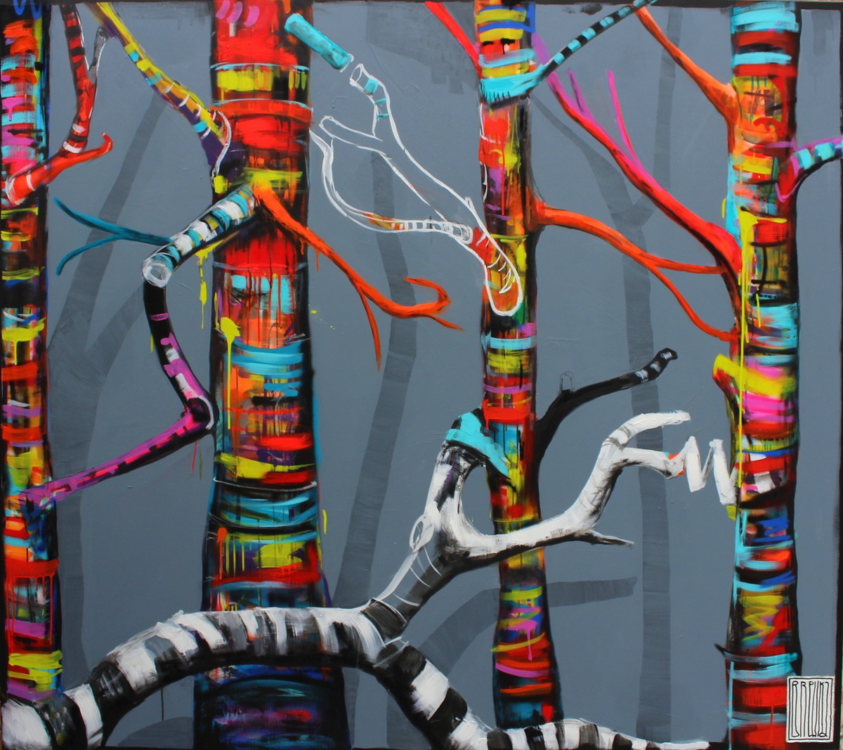 w poszukiwaniu kolorów- puszcza